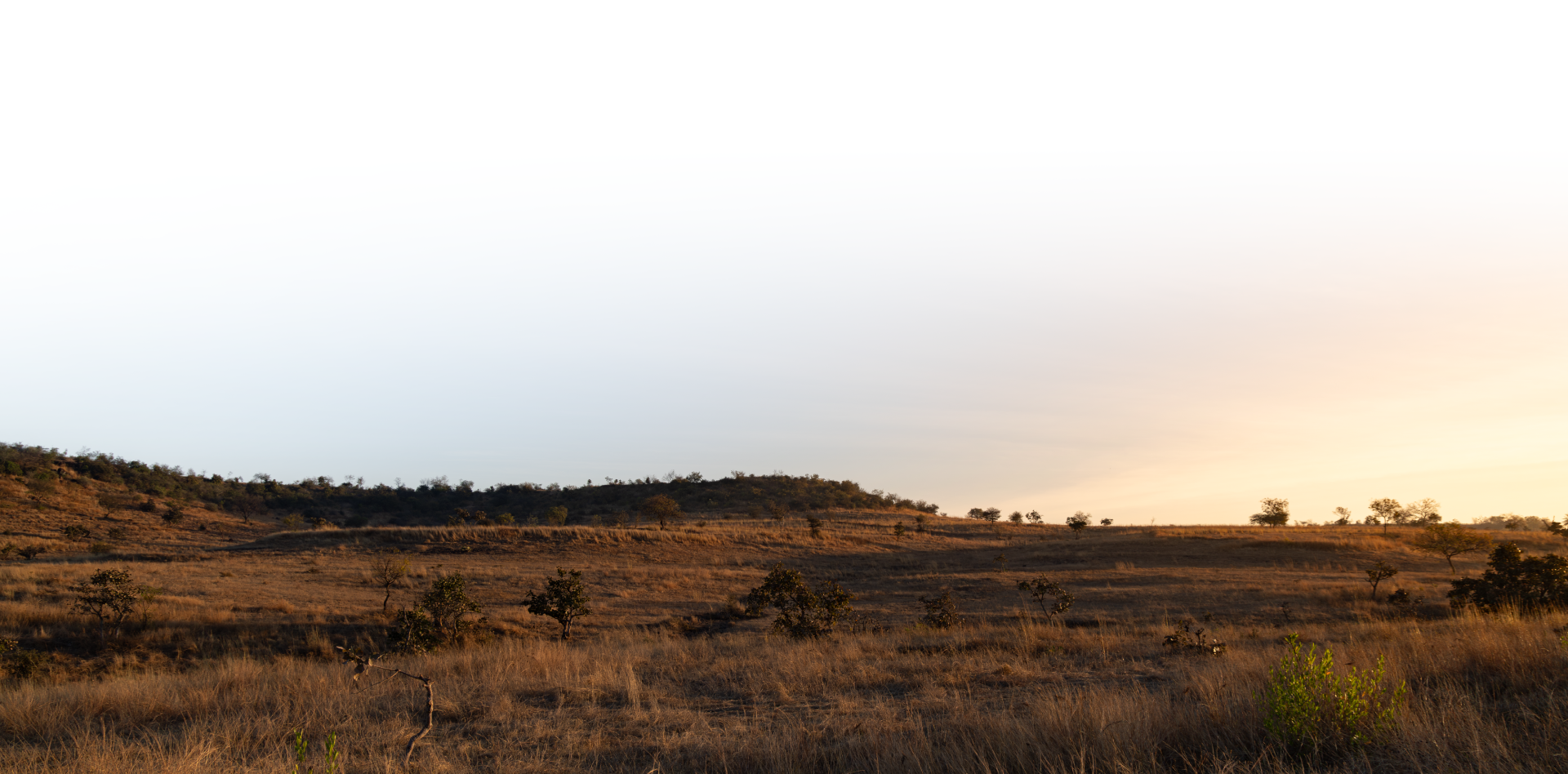 Hero background landscape