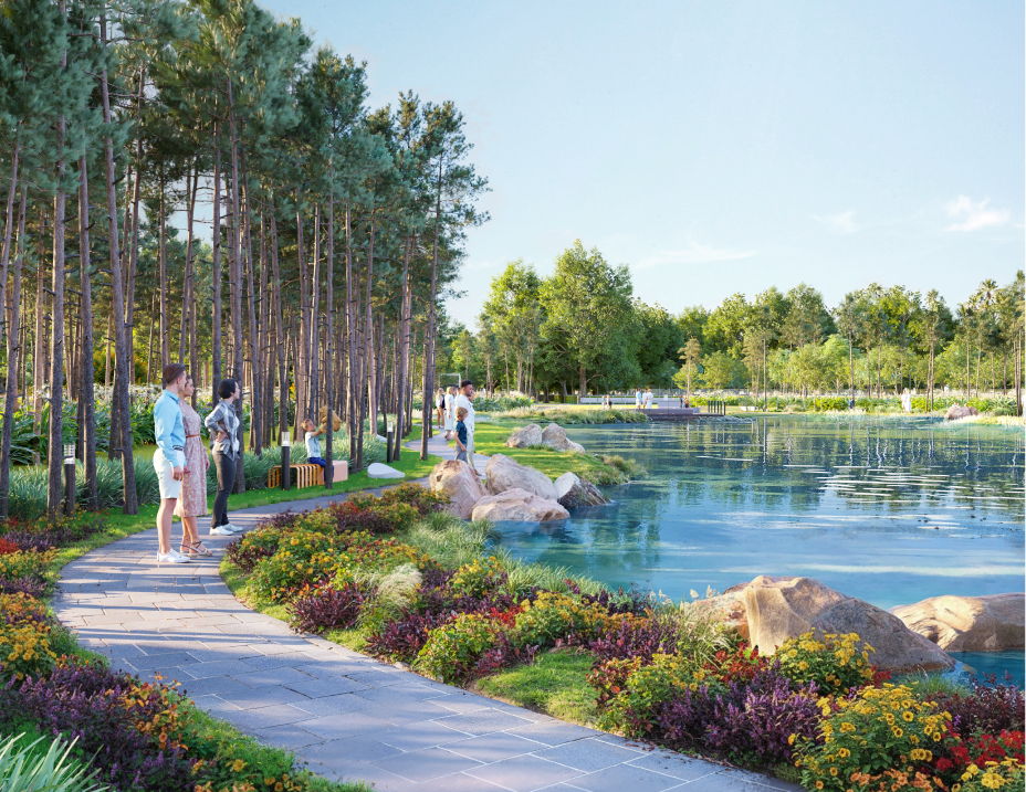 Winding lakeside path with lush vegetation
